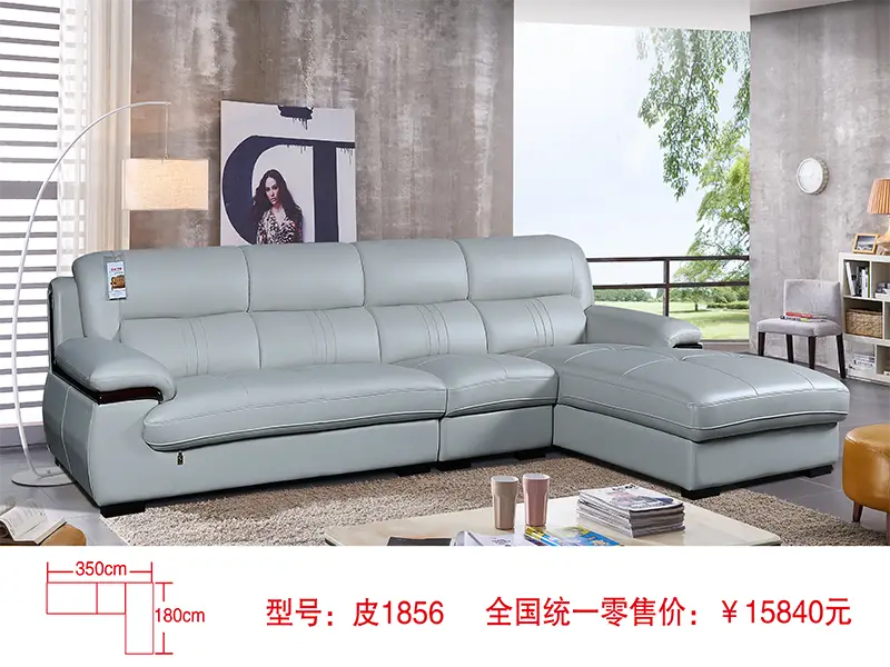 皮质OKANC 梯子